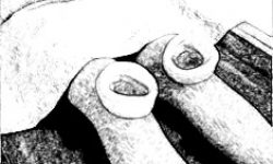 235 157 JANUBASTI SKETCH