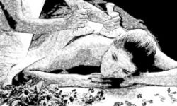 275 183 PRATIPIND SWEDNA SKETCH